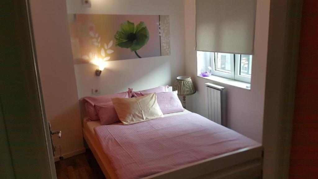 Auberge de jeunesse Stella Di Notte à Belgrade Extérieur photo