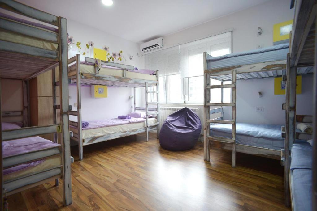 Auberge de jeunesse Stella Di Notte à Belgrade Extérieur photo